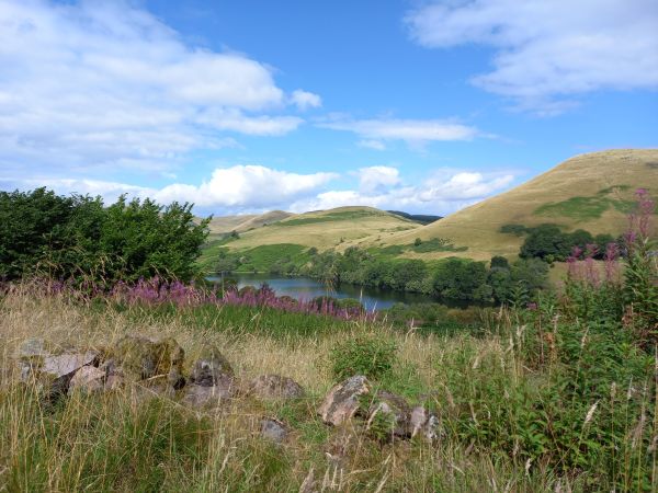 Glen Devon from the hills